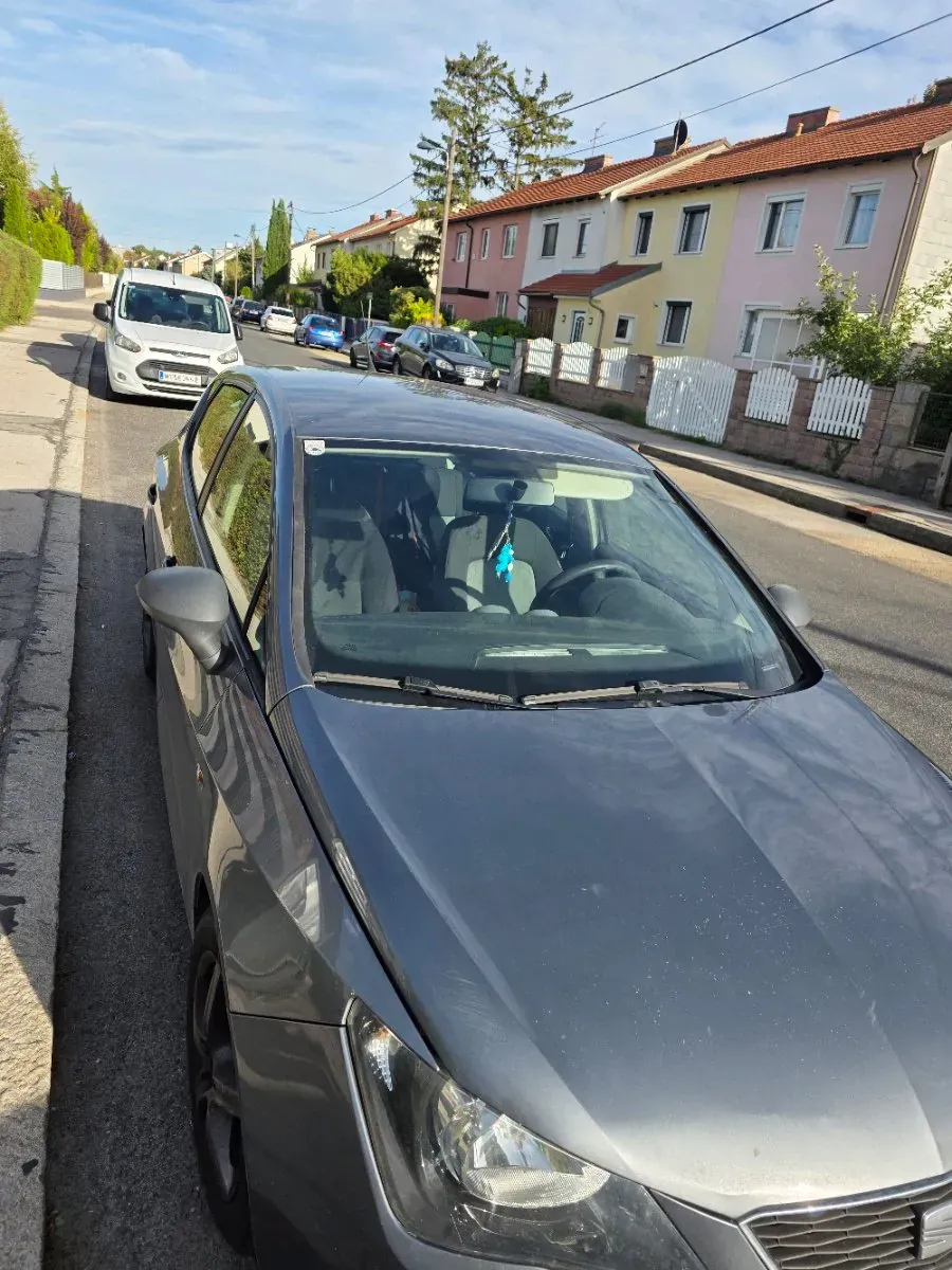 Seat Ibiza 2013 photo 2