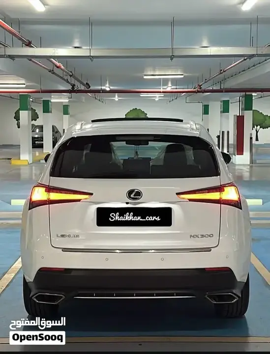 Lexus Nx 2019 photo 2
