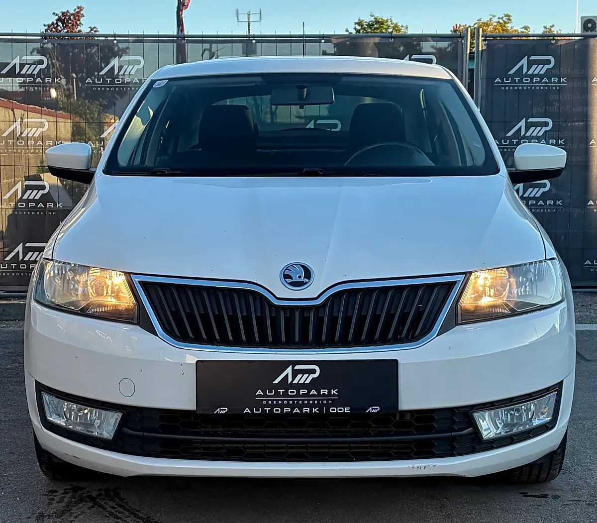 Skoda Rapid 2014 photo 3