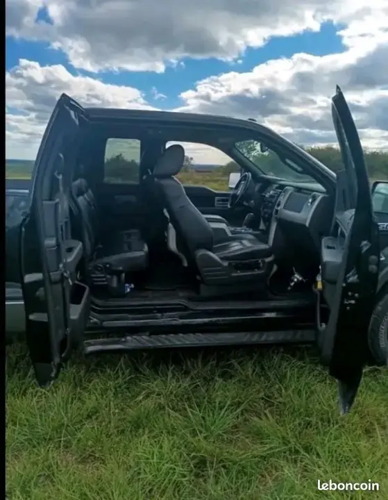 Ford F-150 2010 photo 3