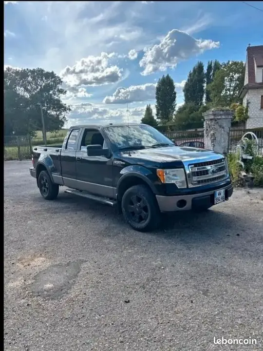 Ford F-150 2010 photo 2