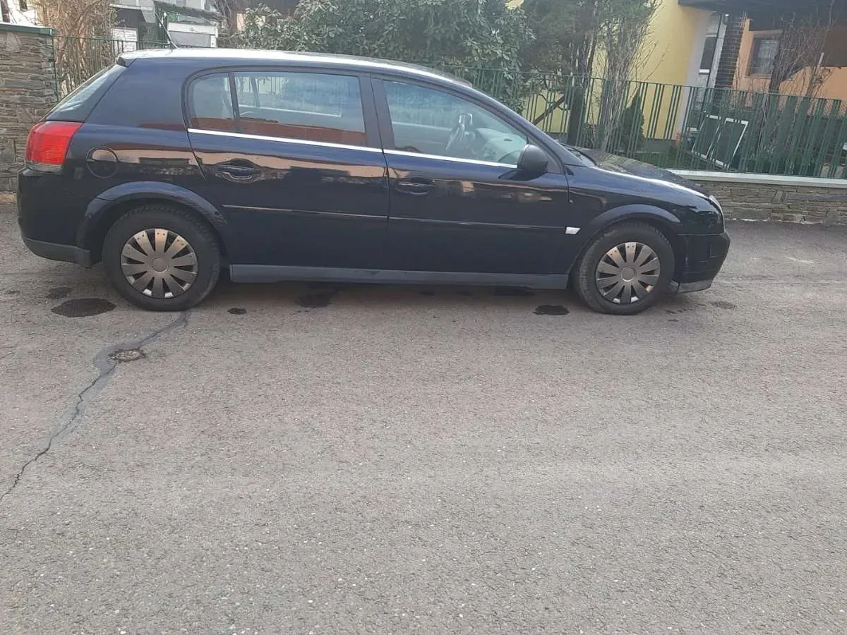 Opel Signum 2004 photo 2