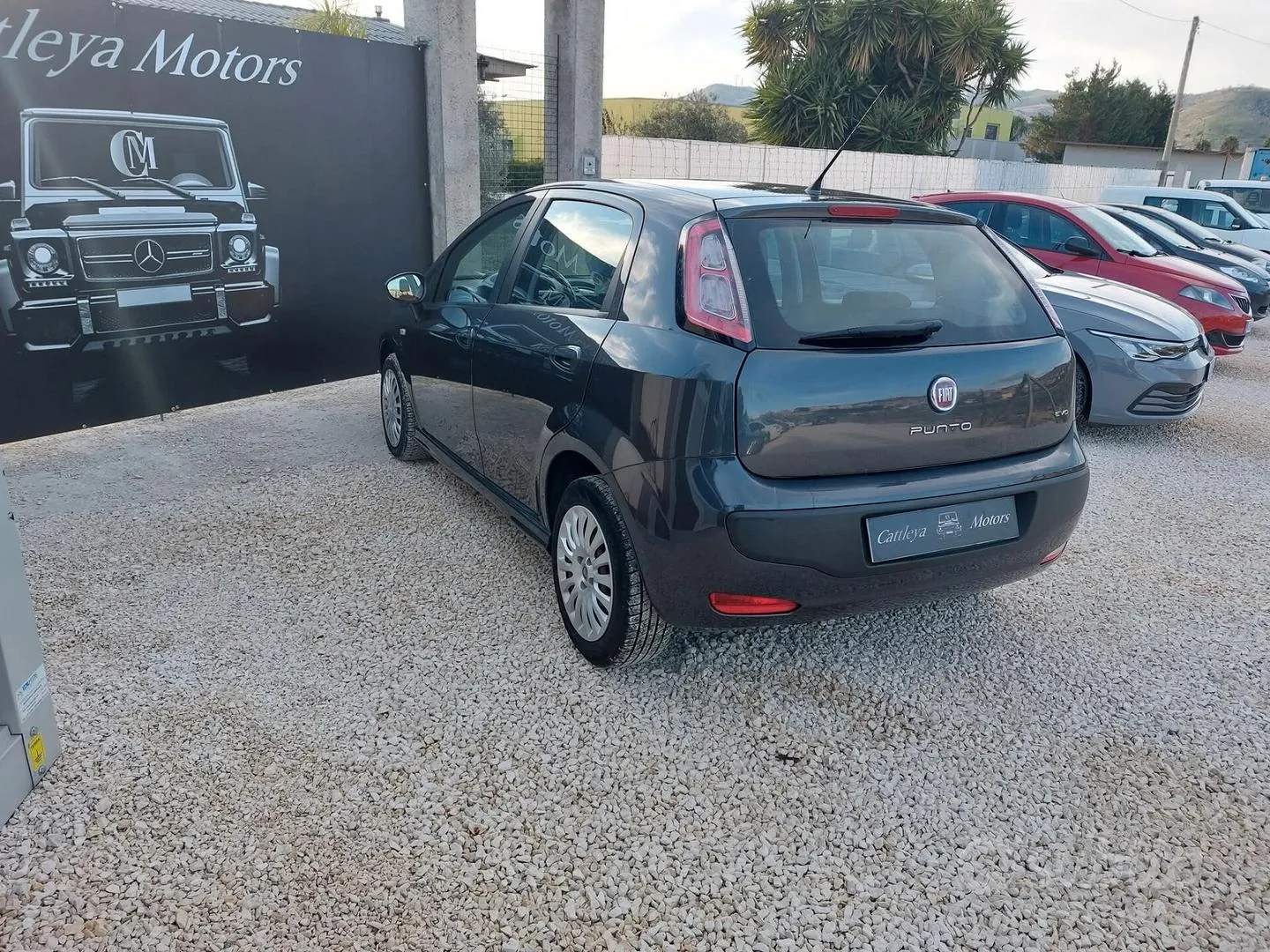 Fiat Punto Evo 2011 photo 5