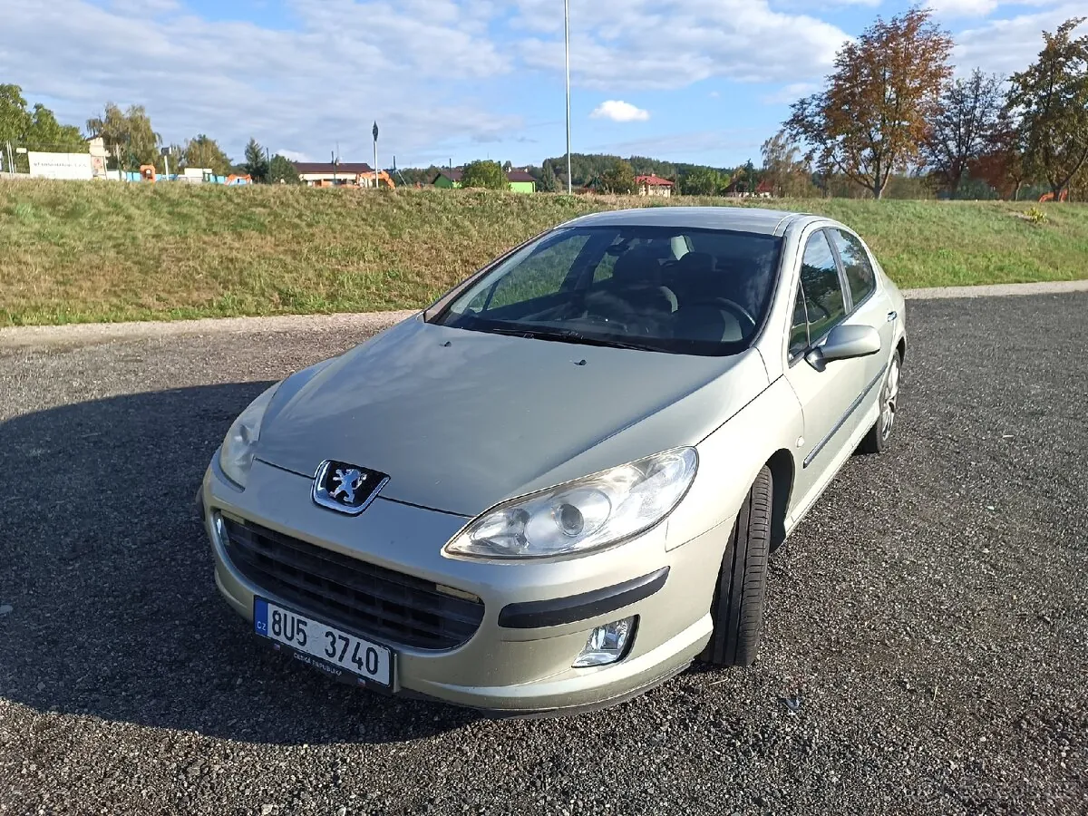 Peugeot 407 2004 photo 2