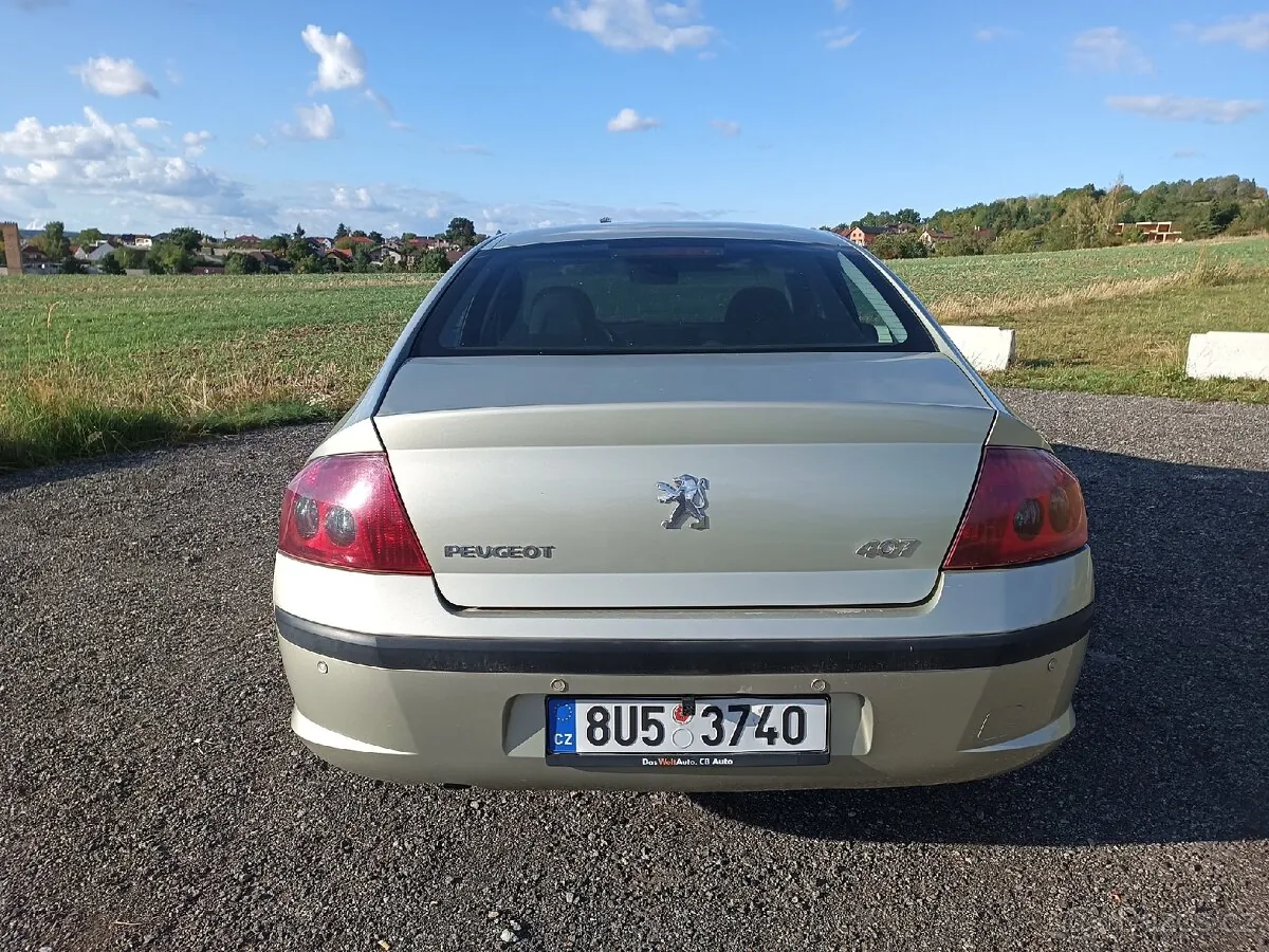 Peugeot 407 2004 photo 5