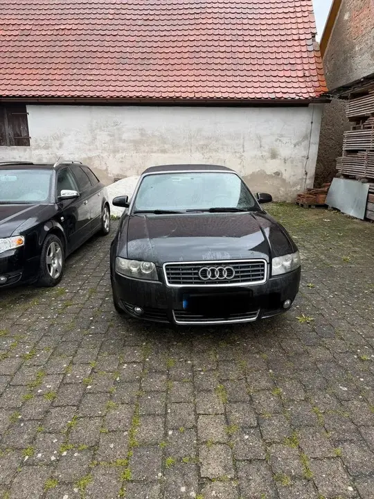 Audi Cabrio