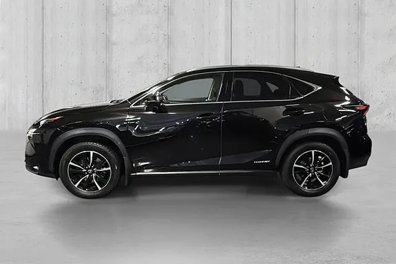 Lexus Nx300H 2016 photo 4