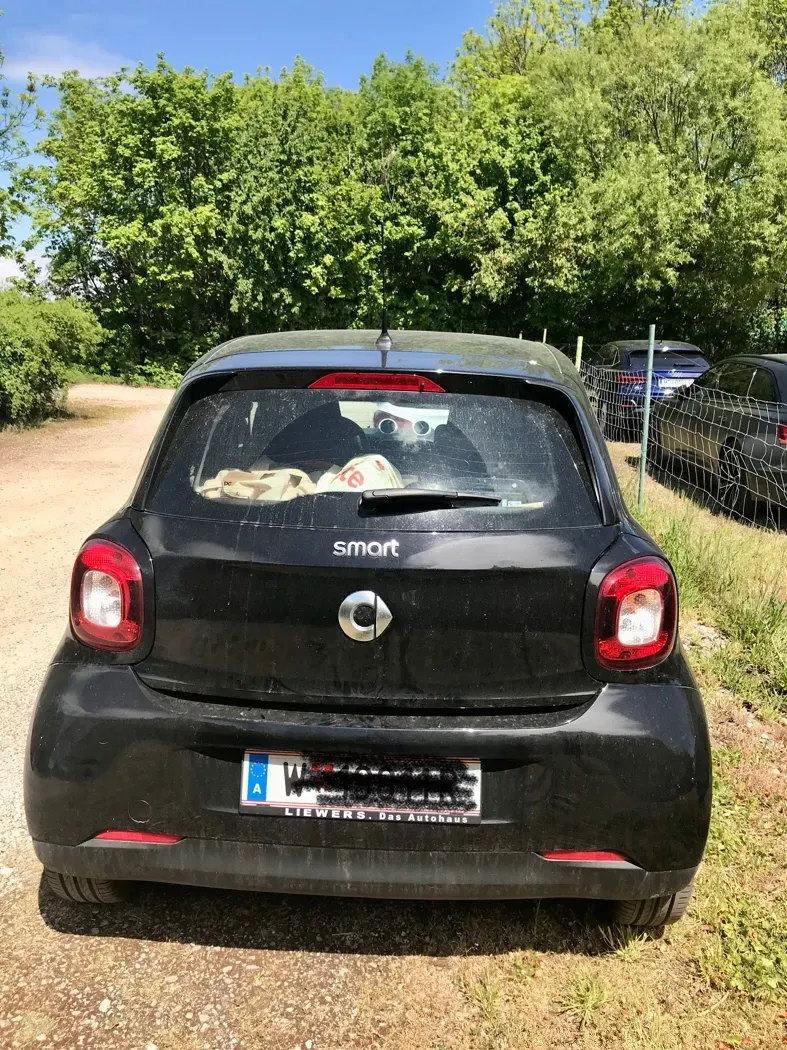 Smart Forfour 2015 photo 3