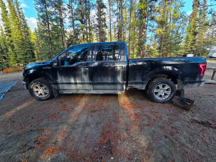 Ford F-150 2017 photo 2