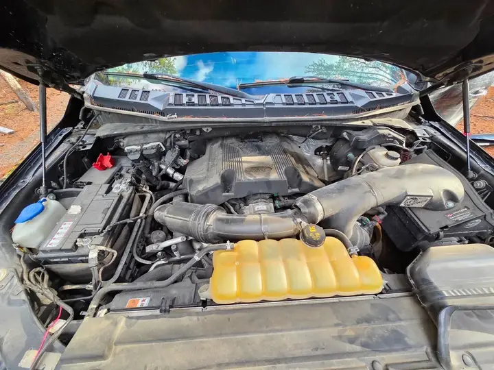 Ford F-150 2017 photo 3