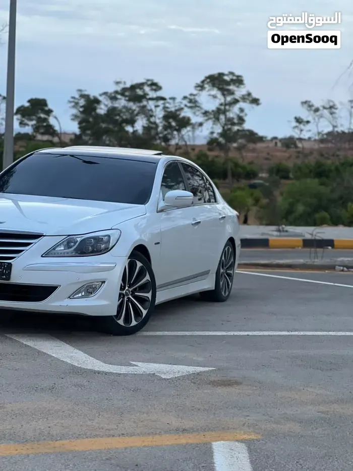 Genesis Sonata 2010 photo 3