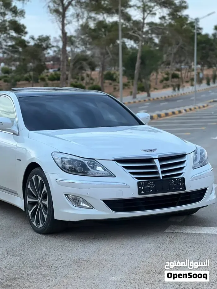 Genesis Sonata 2010 photo 2