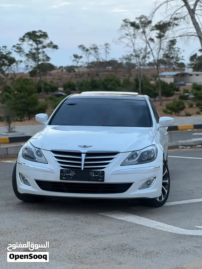Genesis Sonata 2010 photo 4
