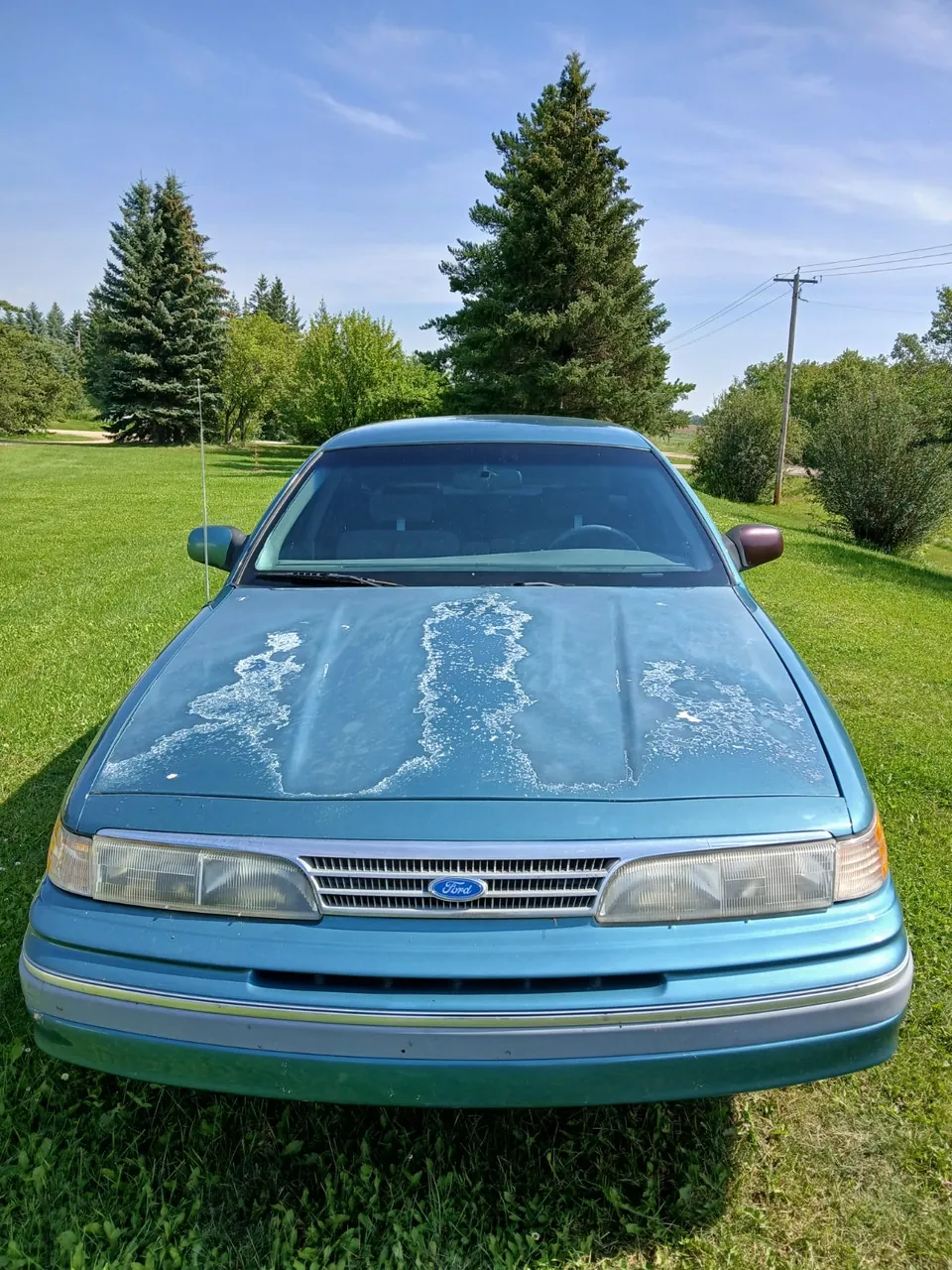 Ford Crown Victoria 1993 photo 5
