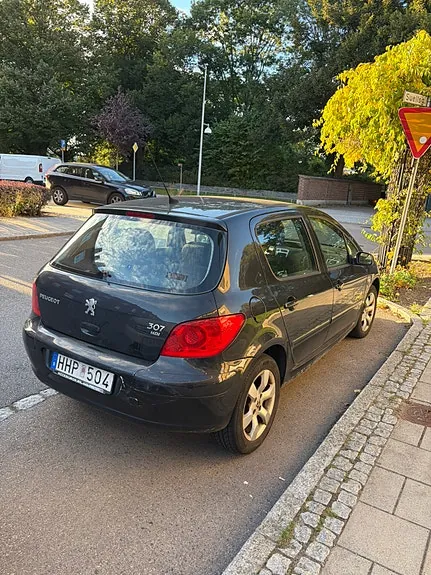 Peugeot 307 2007 photo 5