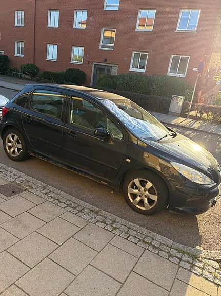 Peugeot 307 2007 photo 4