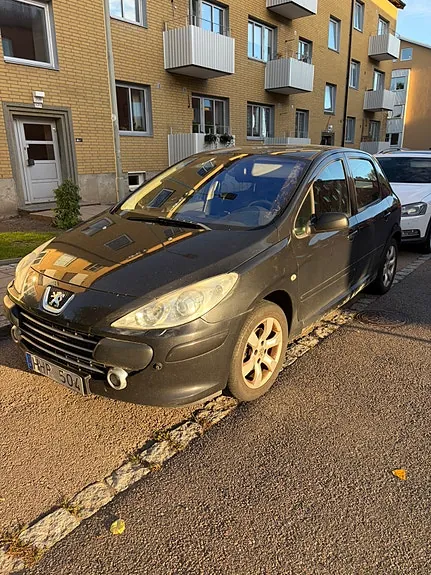 Peugeot 307 2007 photo 2