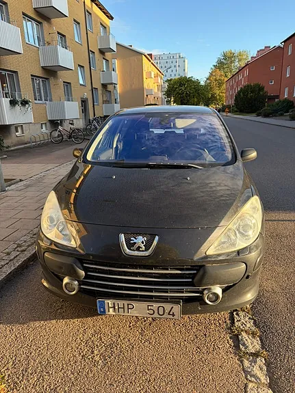 Peugeot 307 2007 photo 3