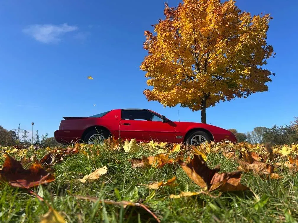 Pontiac Firebird 1992 photo 2
