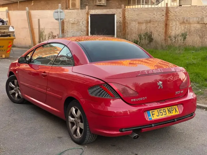 Peugeot 307 2009 photo 2