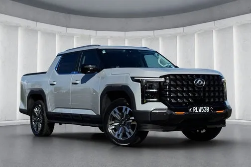 LDV Terron 9