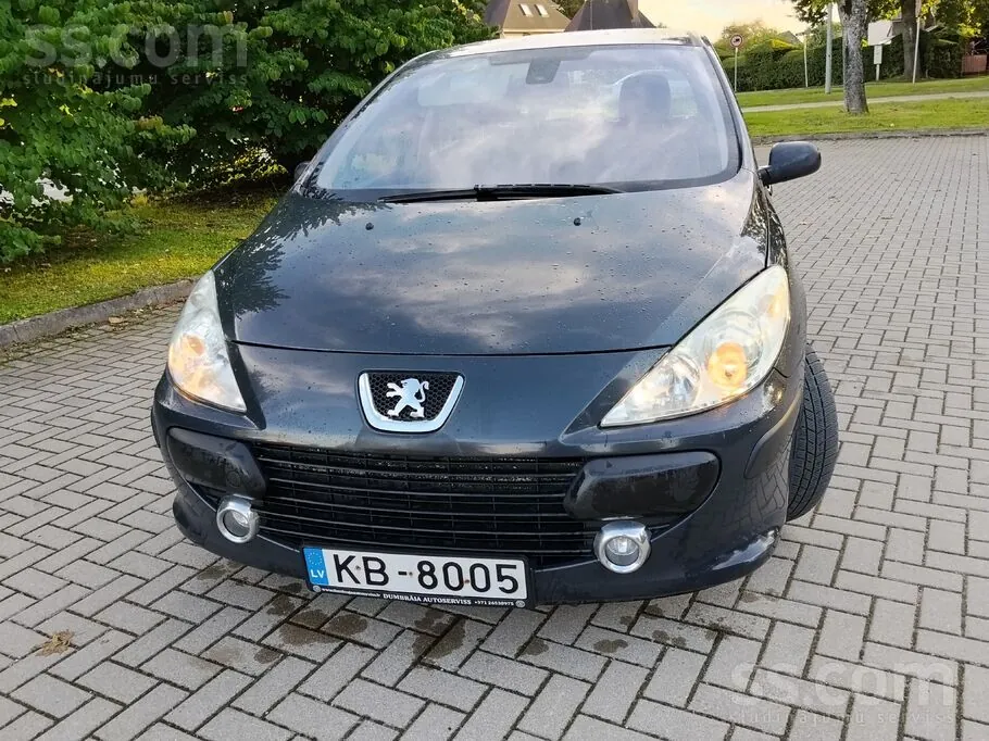Peugeot 307 2006 photo 2