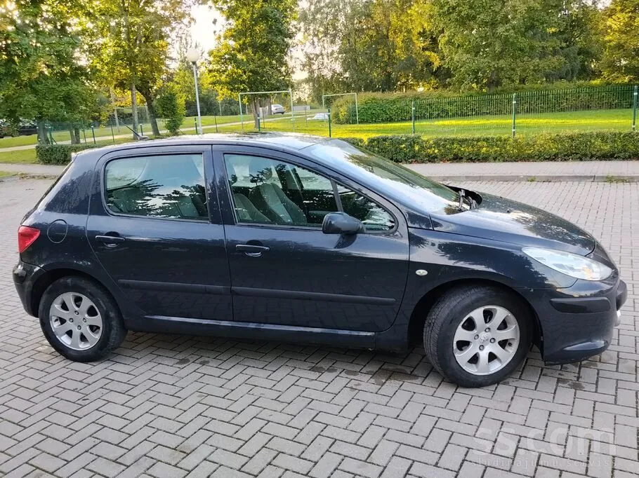 Peugeot 307 2006 photo 3