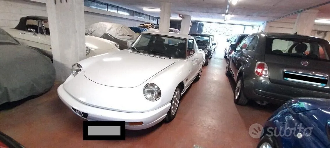 Alfa Romeo Spider