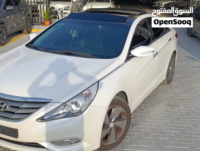 Hyundai Sonata 2010 photo 3