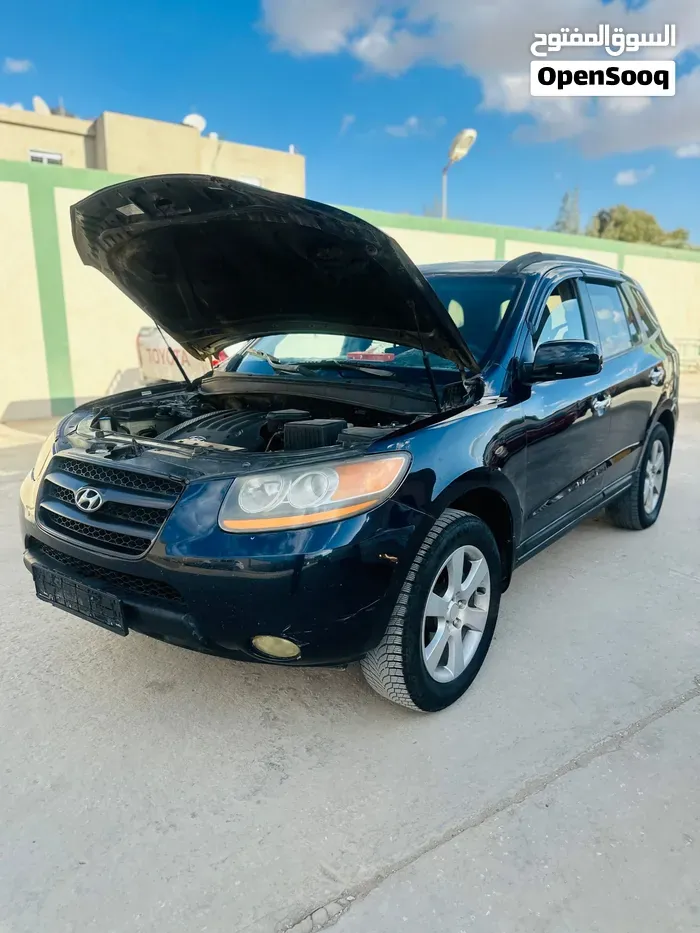 Hyundai Santa Fe 2010 photo 5