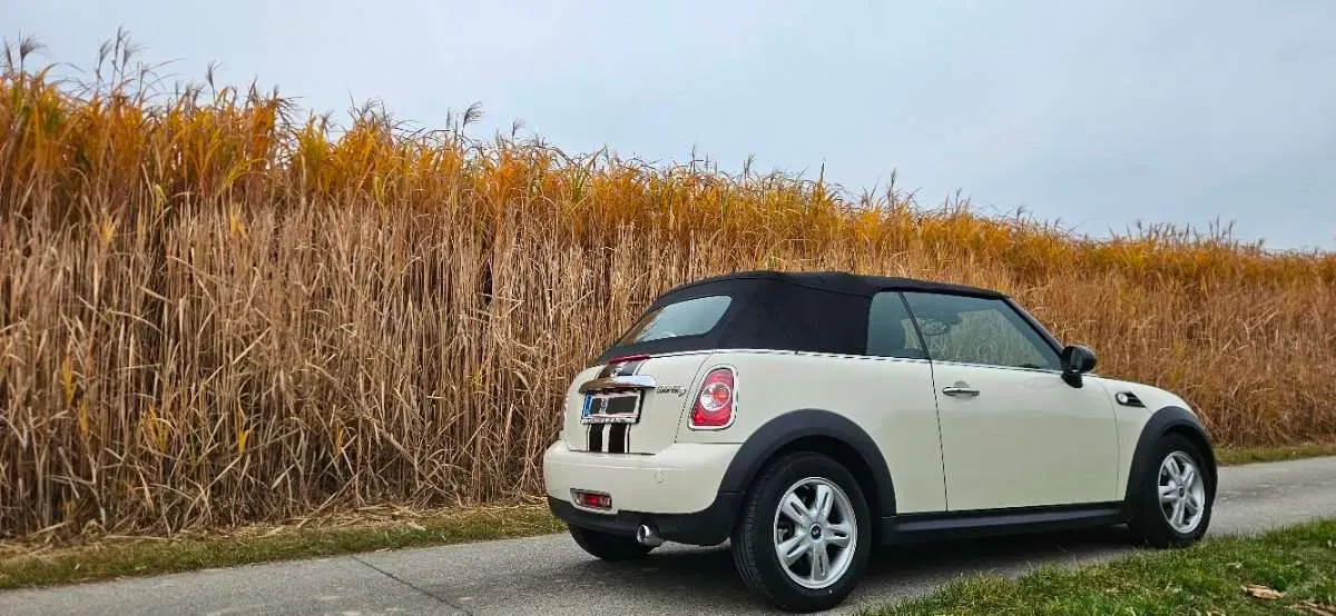 Mini Cabrio 2014 photo 3