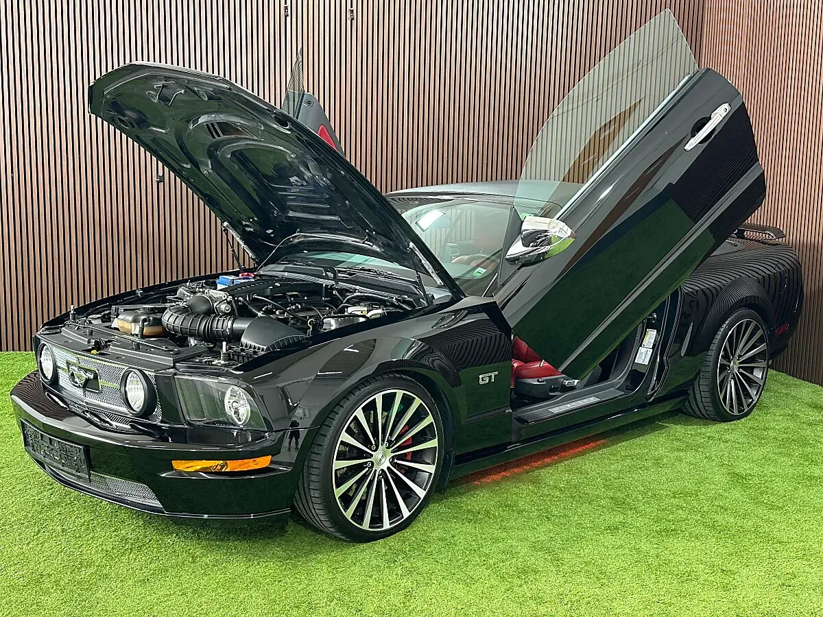 Ford Mustang 2005 photo 2