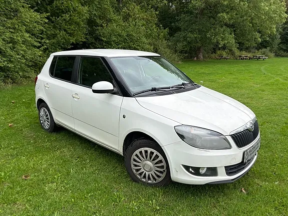 Skoda Fabia 2015 photo 5