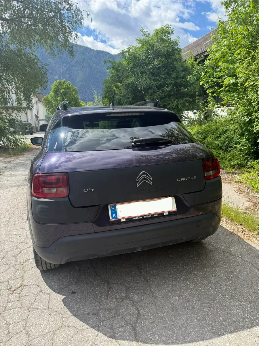 Citroen C4 Cactus 2015 photo 2