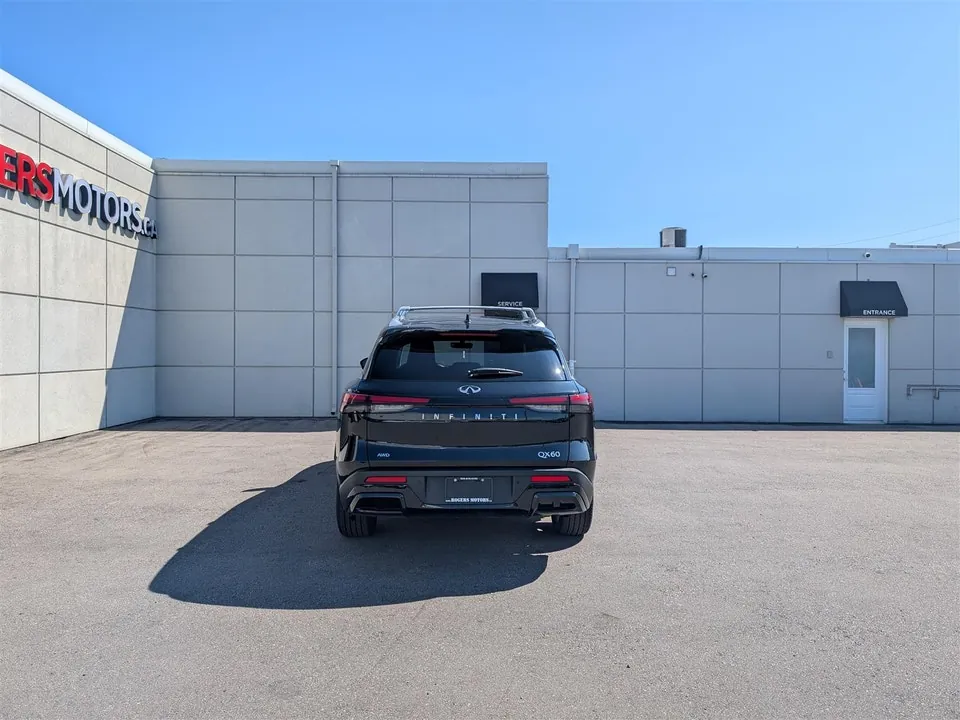Infiniti Qx60 2024 photo 4