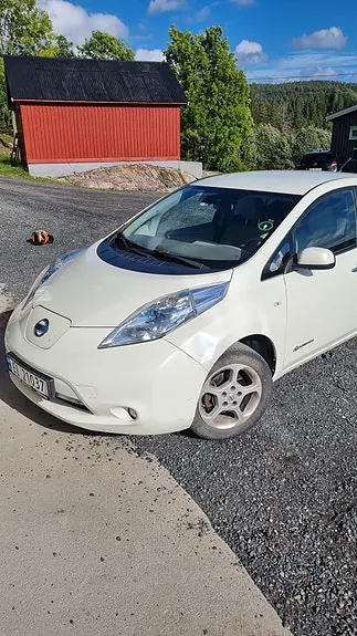 Nissan Leaf 2013 photo 5