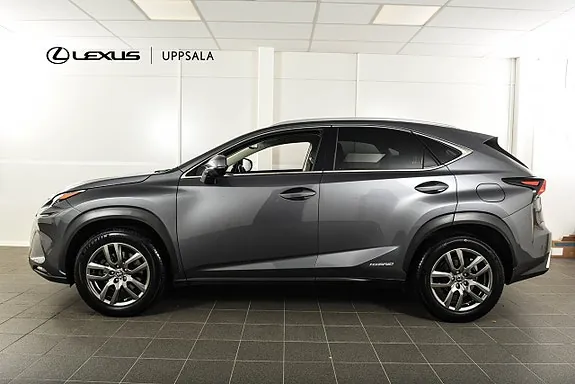 Lexus Nx300H 2018 photo 2