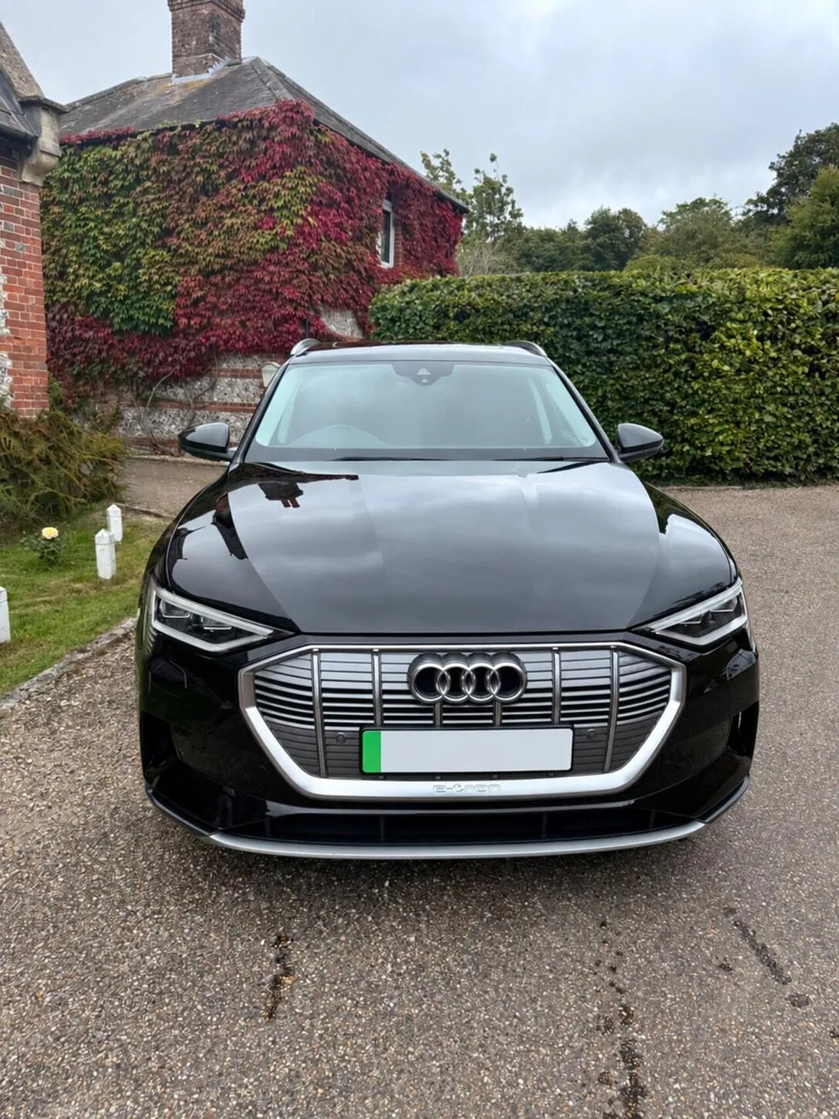 Audi E-Tron 2021 photo 4
