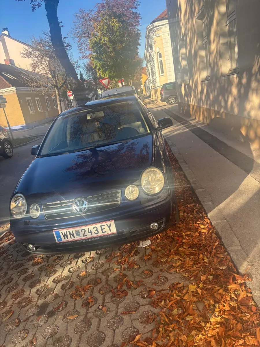 Volkswagen Polo 2002 photo 3