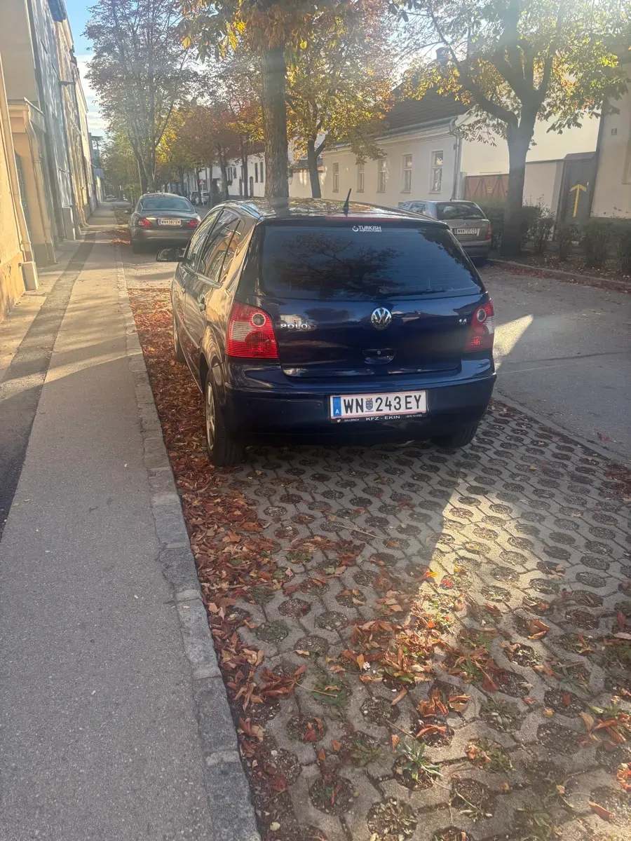 Volkswagen Polo 2002 photo 2