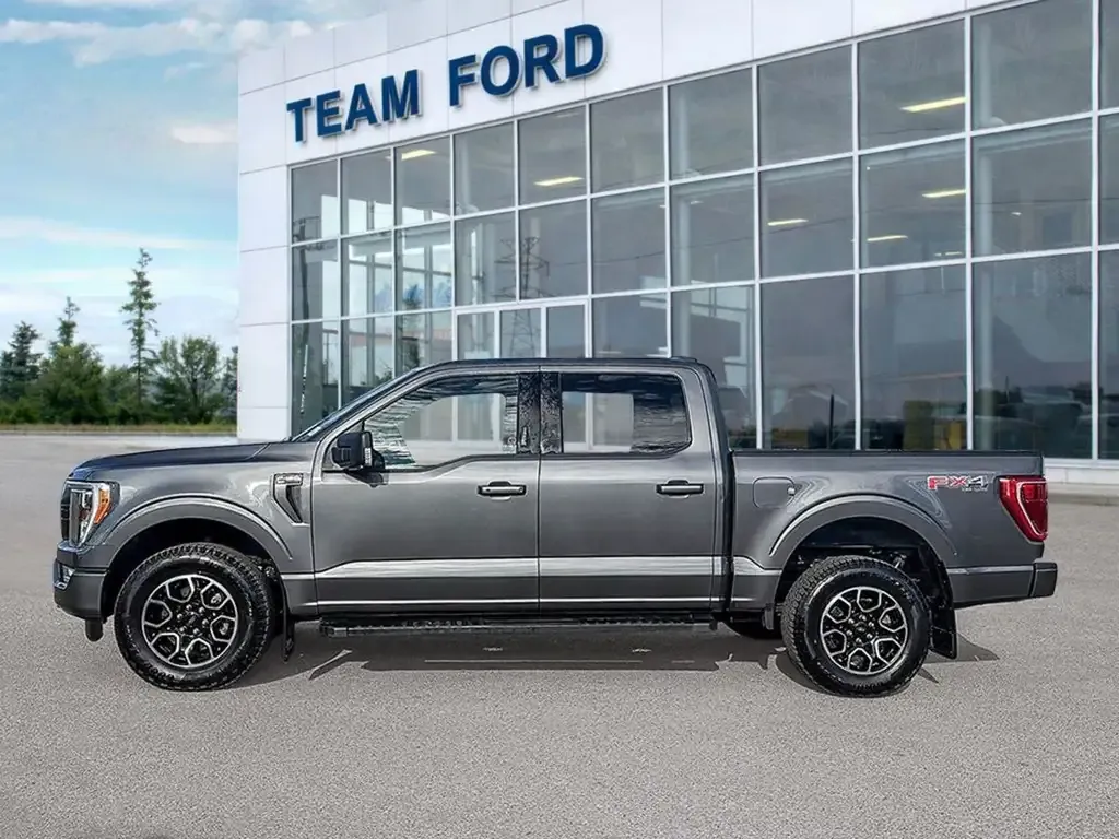Ford F-150 2023 photo 3