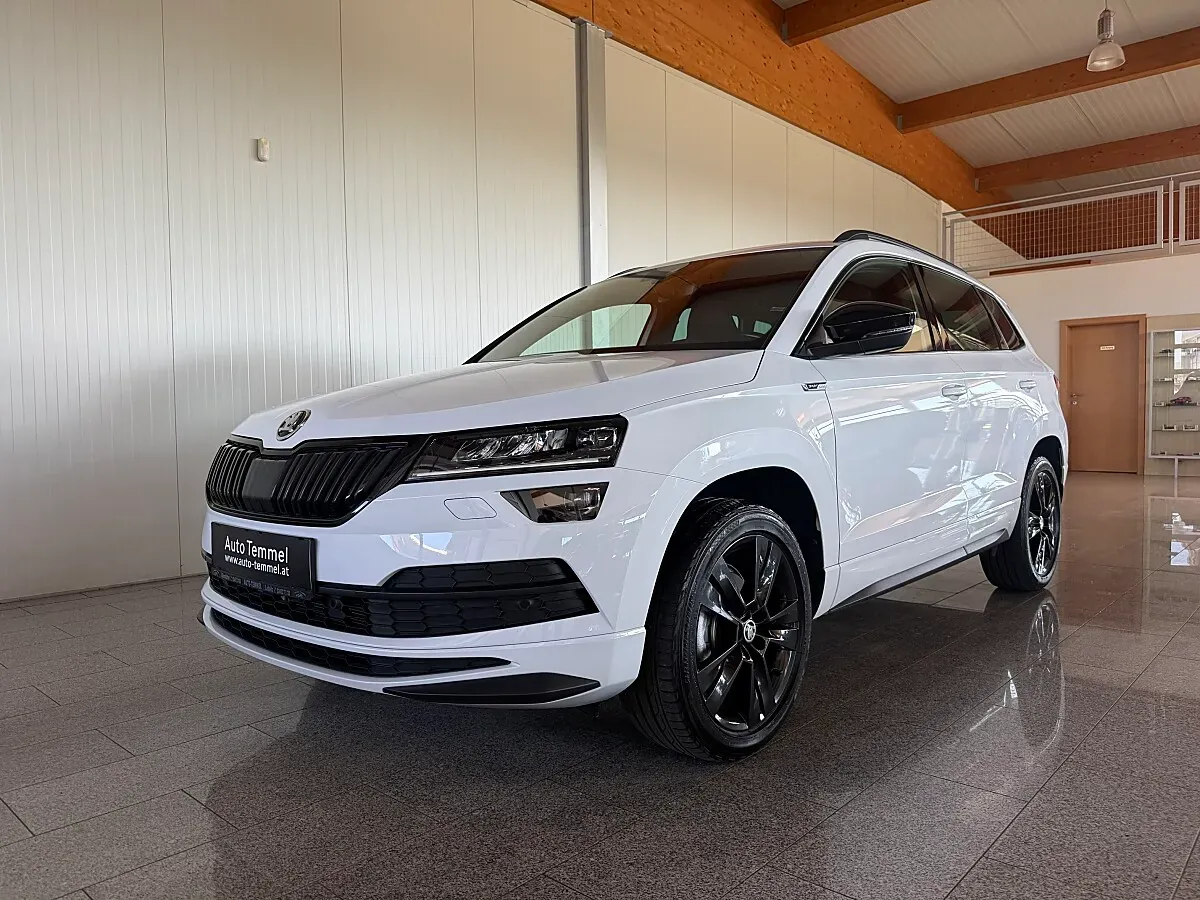 Skoda Karoq 2020 photo 2