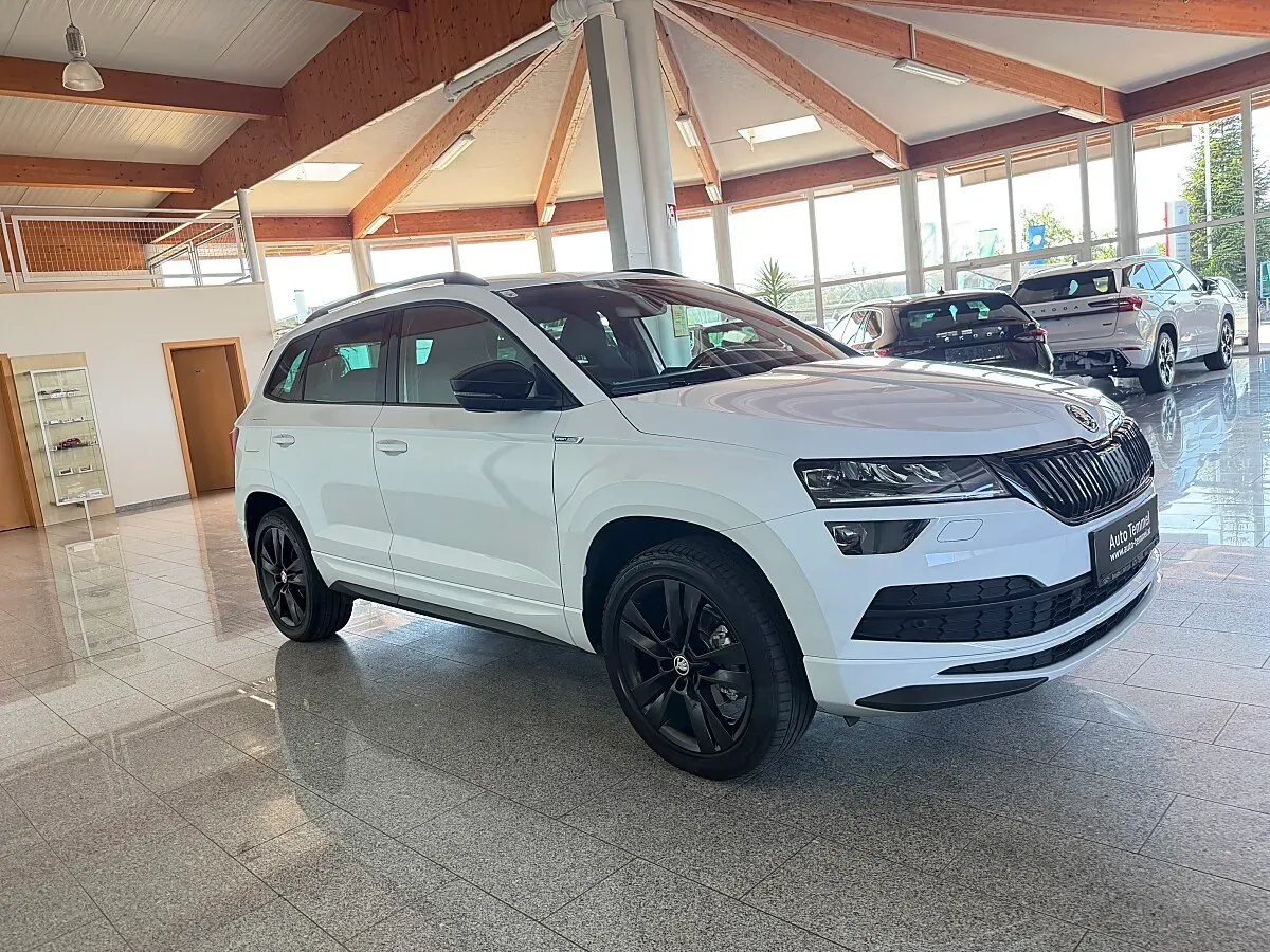 Skoda Karoq 2020 photo 3