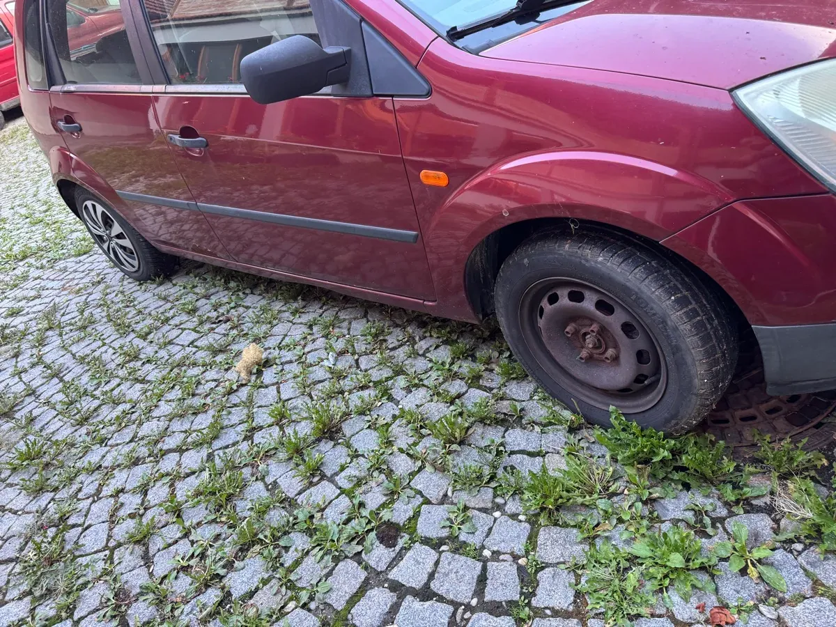 Ford Fiesta 2003 photo 2