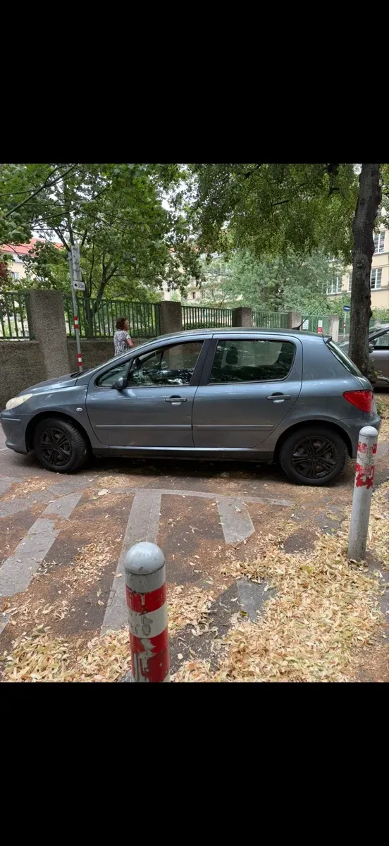 Peugeot 307 2006 photo 3