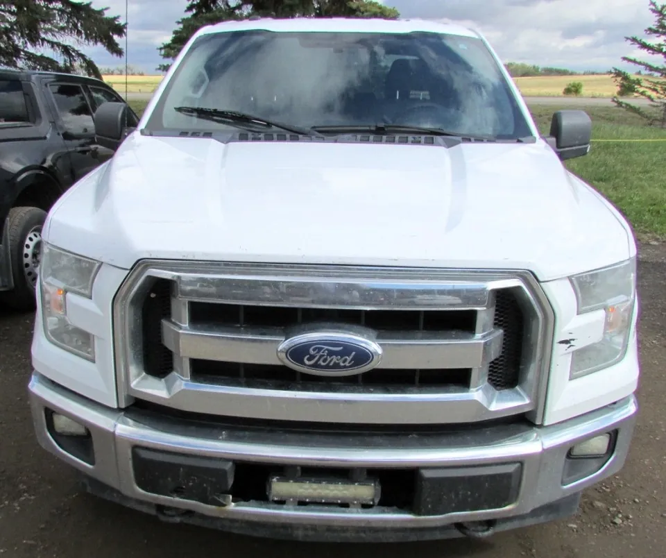 Ford F-150 2017 photo 2