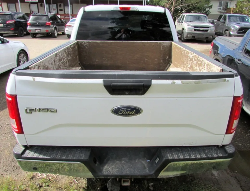 Ford F-150 2017 photo 5