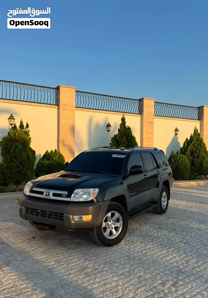 Toyota 4Runner 2004 photo 3