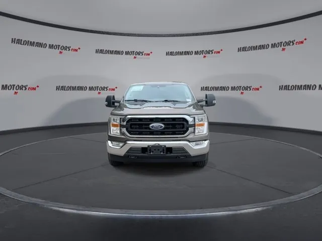 Ford F-150 2022 photo 3