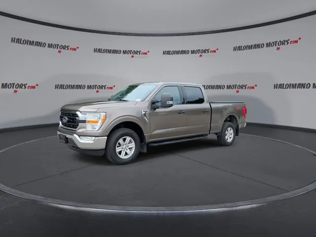 Ford F-150 2022 photo 4